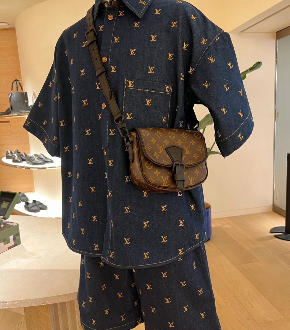 Louis Vuitton Satchel Bags